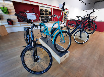 Intérieur magasin de vélos Besançon